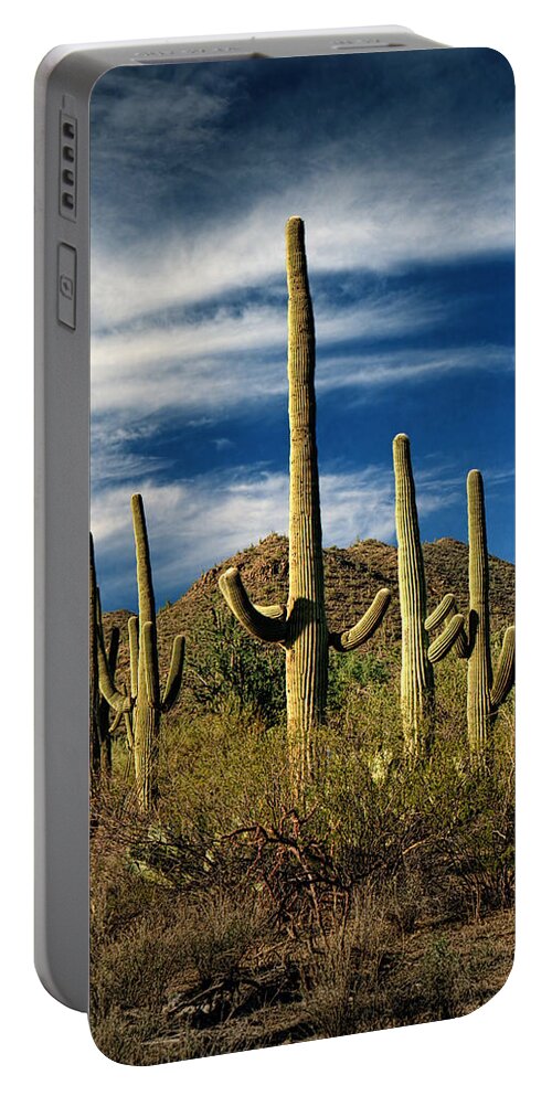 Art Portable Battery Charger featuring the photograph Saguaro Cactuses near Tucson Arizona by Randall Nyhof