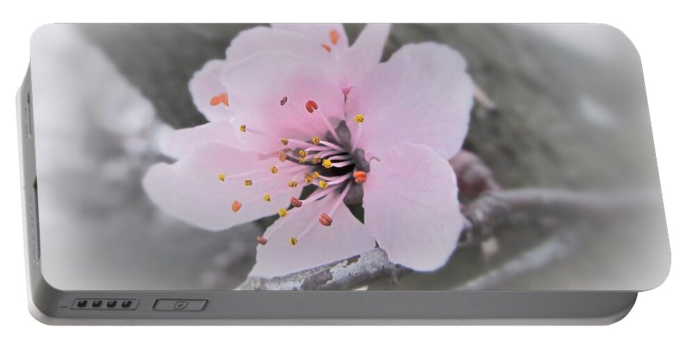 Sakura Portable Battery Charger featuring the photograph Sakura Blossom by Marianna Mills