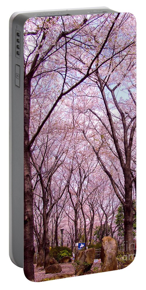 Sakura Tree Portable Battery Charger featuring the photograph Sakura tree by Andrea Anderegg