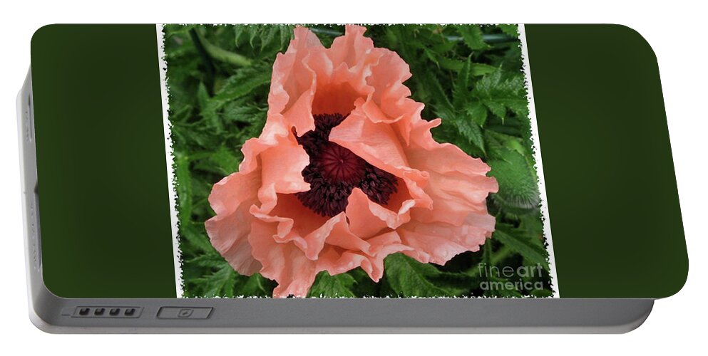 Salmon Color Poppy Portable Battery Charger featuring the photograph Salmon Colored Poppy by Barbara A Griffin