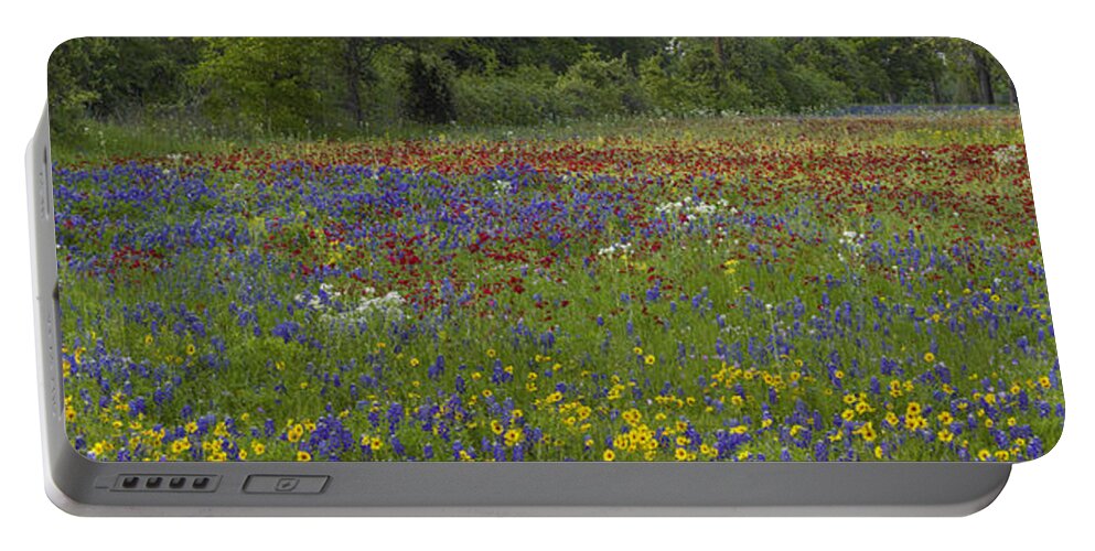 Feb0514 Portable Battery Charger featuring the photograph Sand Bluebonnet Drummonds Phlox by Tim Fitzharris
