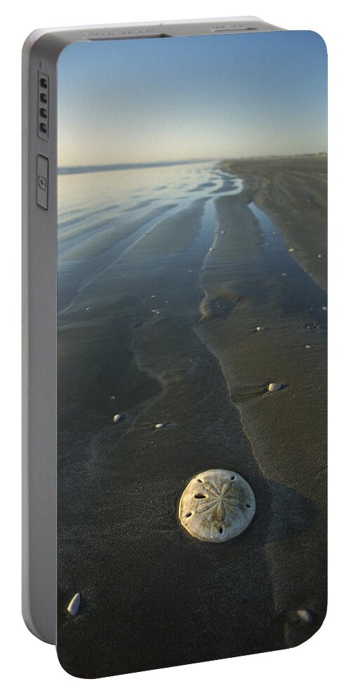 Feb0514 Portable Battery Charger featuring the photograph Sand Dollar With Wave Patterns At Low by Tui De Roy