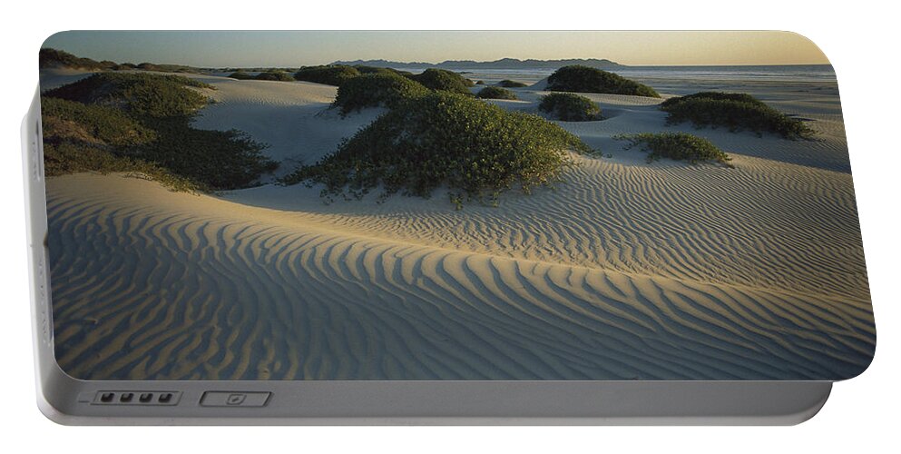 Feb0514 Portable Battery Charger featuring the photograph Sand Dunes Magdalena Island Baja by Tui De Roy