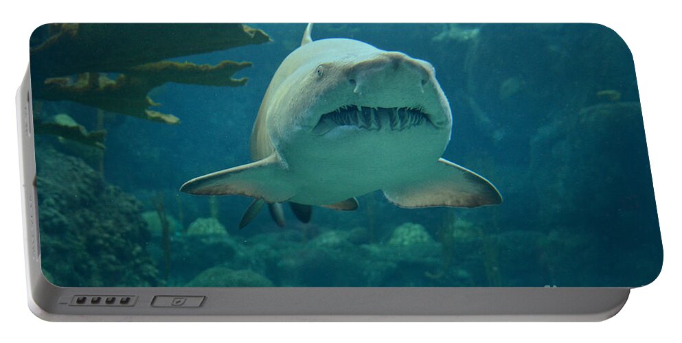 Sand Shark Portable Battery Charger featuring the photograph Sand Shark by Robert Meanor
