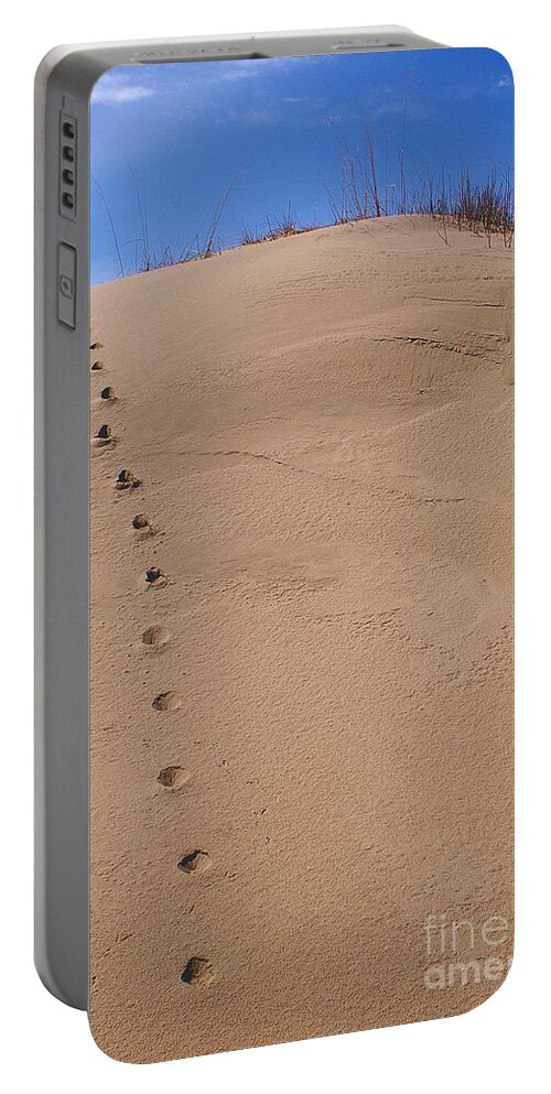 Sand Portable Battery Charger featuring the photograph Sand Tracks by Randy Pollard