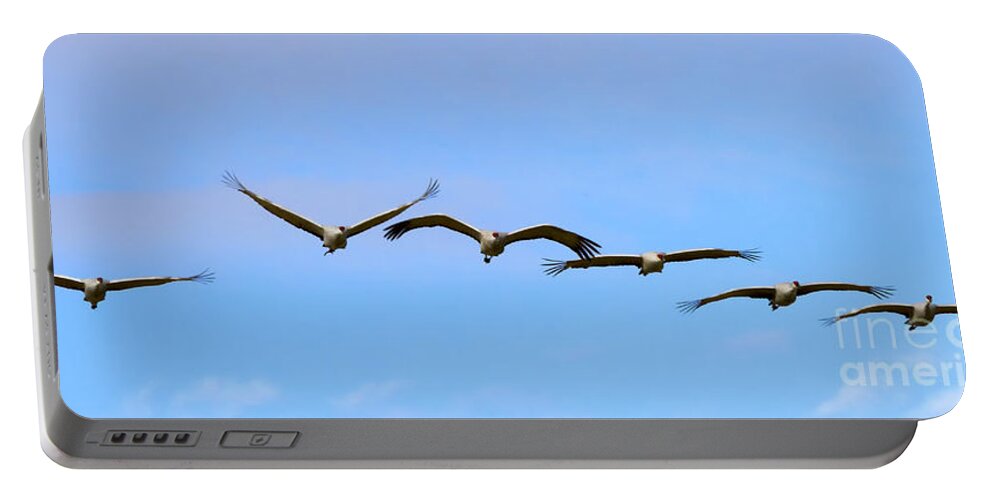 Sandhill Cranes Portable Battery Charger featuring the photograph Sandhill Crane Flight Pattern by Michael Dawson