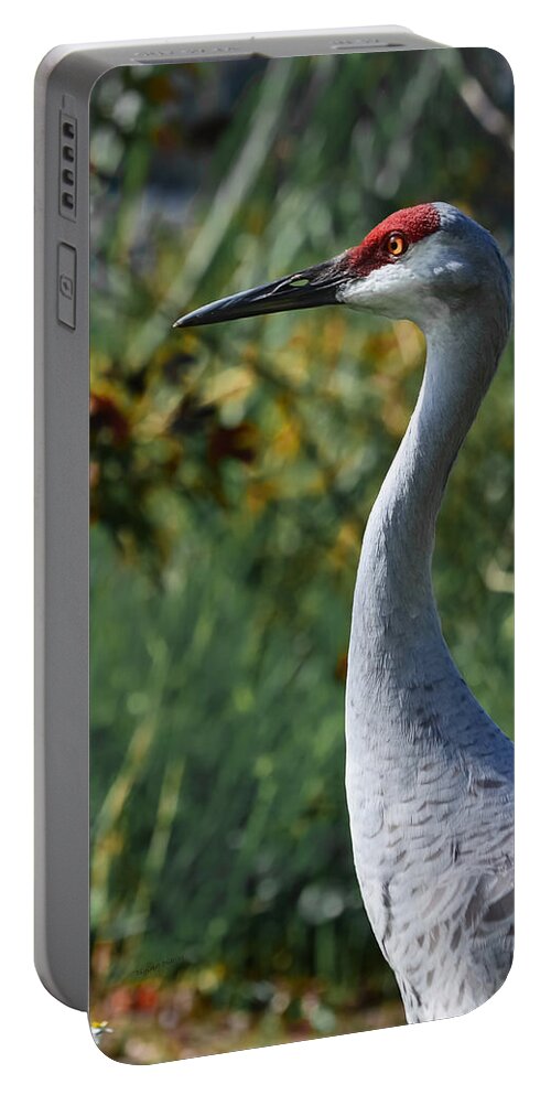 Crane Portable Battery Charger featuring the photograph Sandhill Crane Profile by DigiArt Diaries by Vicky B Fuller