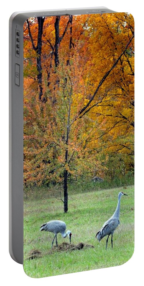 Sandhill Cranes Portable Battery Charger featuring the photograph Sandhill Cranes by David T Wilkinson