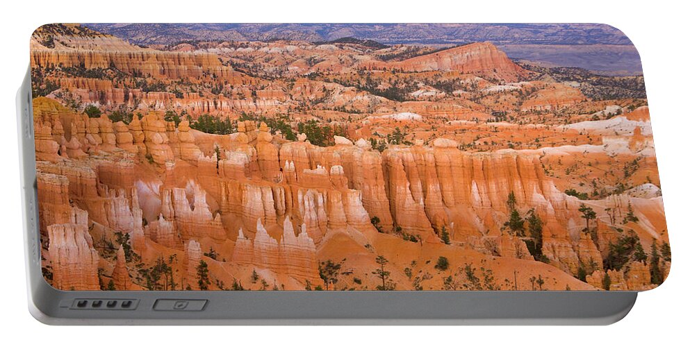 00431140 Portable Battery Charger featuring the photograph Sandstone Hoodoos Bryce Canyon Natl Park by 
