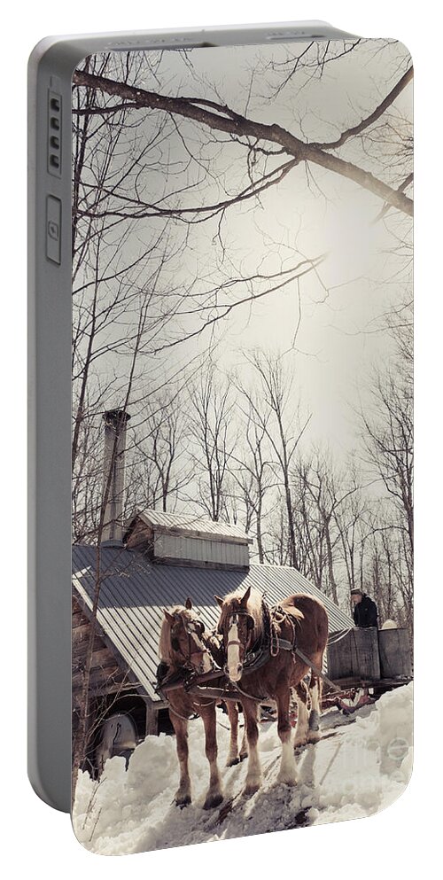Maple Syrup Portable Battery Charger featuring the photograph Sap Collection by Cheryl Baxter
