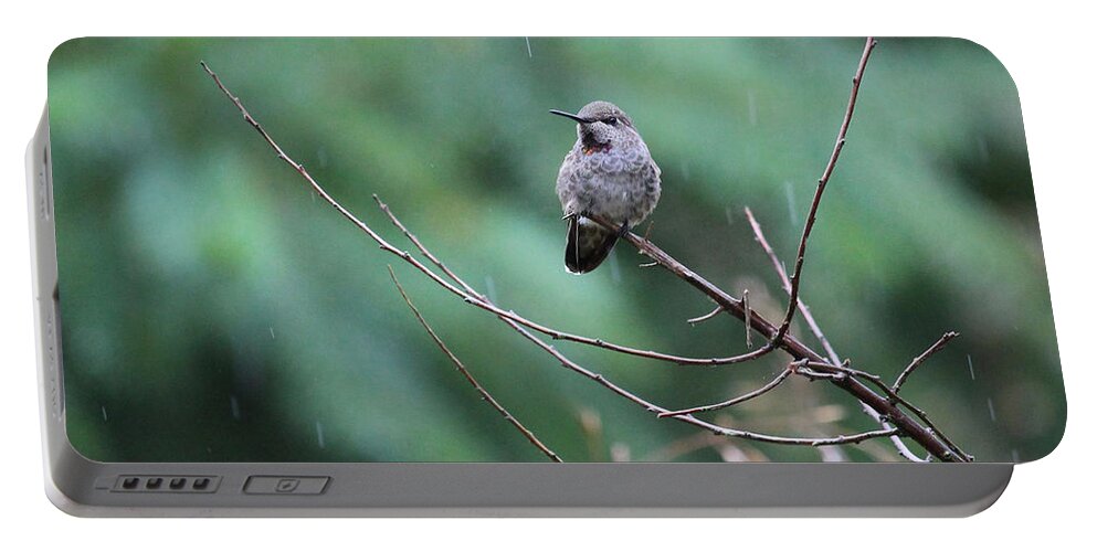 Birds Portable Battery Charger featuring the photograph Savoring Rain by Rory Siegel