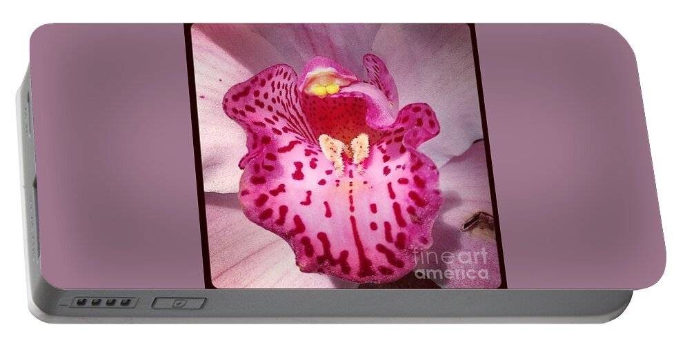 Orchid Portable Battery Charger featuring the photograph Say Ahhh by Denise Railey