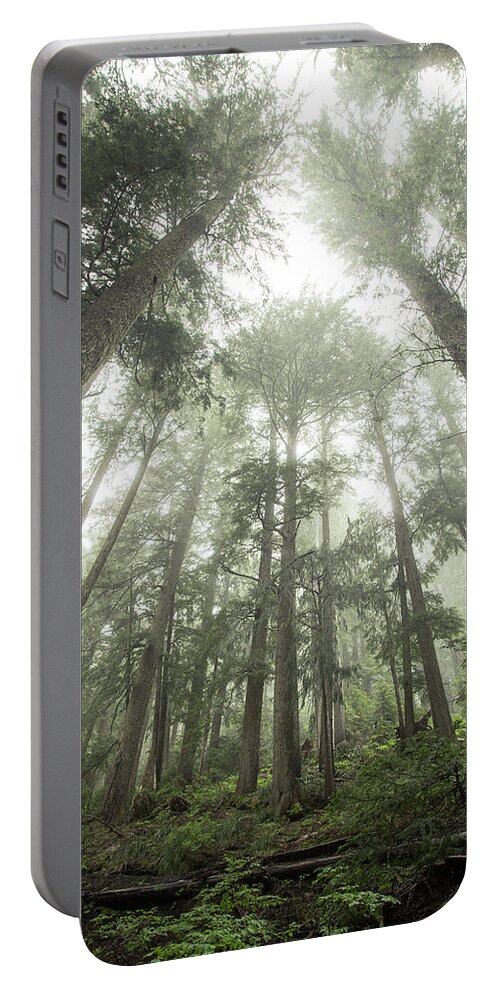 Nobody Portable Battery Charger featuring the photograph Scenery Of Forest With Pine Trees by Matt Andrew