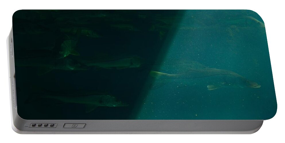 Fish Portable Battery Charger featuring the photograph School of Fish by Richard Zentner