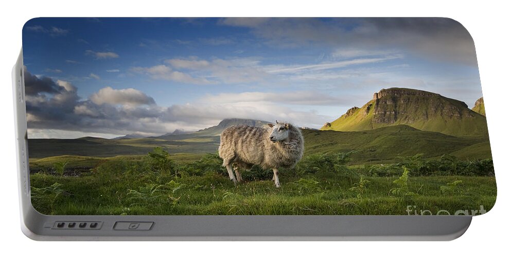 Animal Portable Battery Charger featuring the photograph Scottish Sheep by David Lichtneker