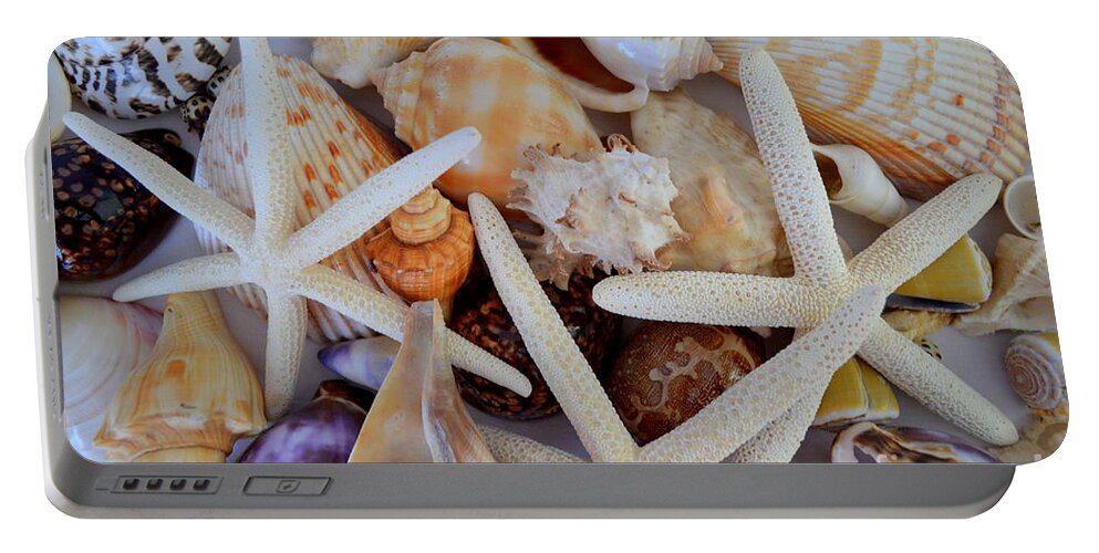Sea Life Portable Battery Charger featuring the photograph Sea Life Menagerie by Mary Deal