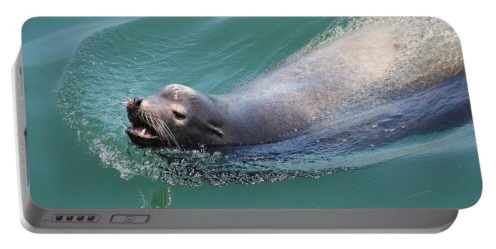 California Portable Battery Charger featuring the photograph Sea lion by Anthony Trillo