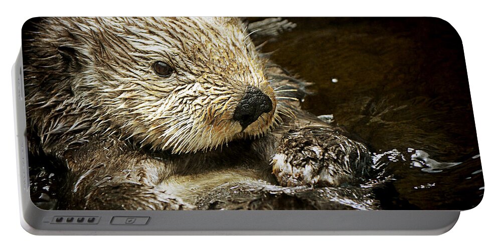 Sea Portable Battery Charger featuring the photograph Sea Otter by Maria Angelica Maira