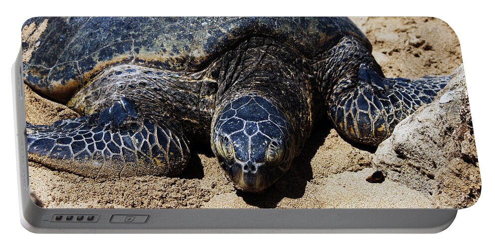 Beach Portable Battery Charger featuring the photograph Sea Turtle by Edward Hawkins II