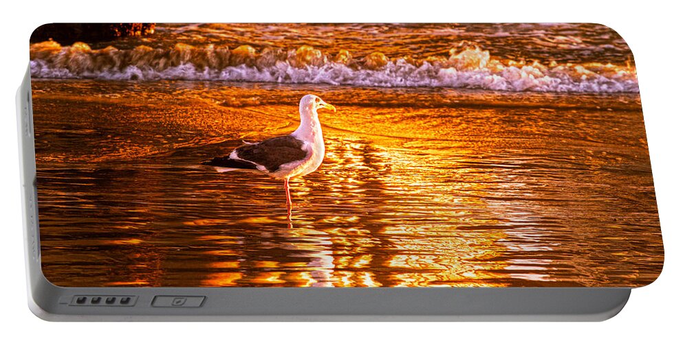 Seagull Portable Battery Charger featuring the photograph Seagul reflects on a Golden Molten Shore by Denise Dube