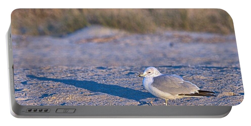9672 Portable Battery Charger featuring the photograph Seagull at Sunrise by Gordon Elwell