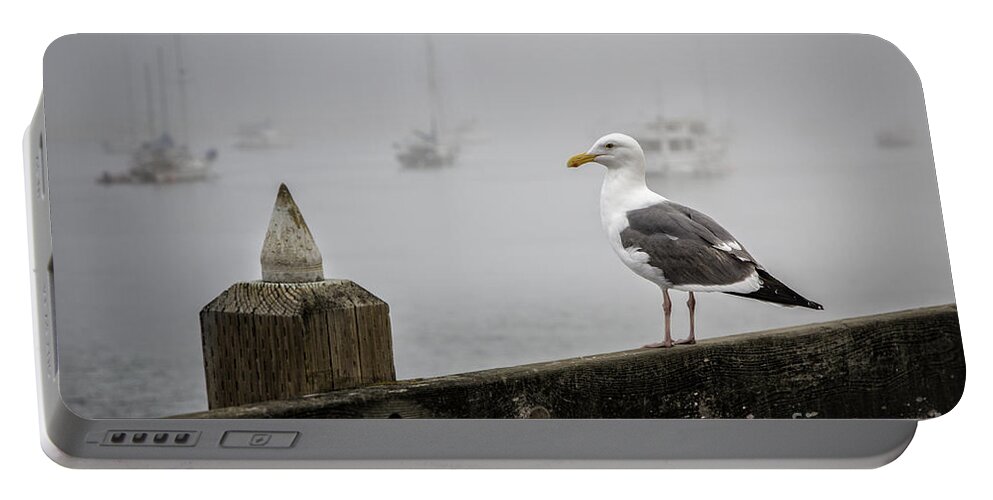 Los Osos Portable Battery Charger featuring the photograph Seagull In Fog 1 by Timothy Hacker