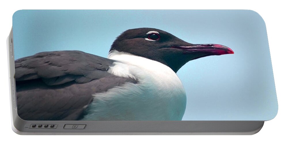 Seagull Portable Battery Charger featuring the photograph Seagull Portrait by Sandi OReilly