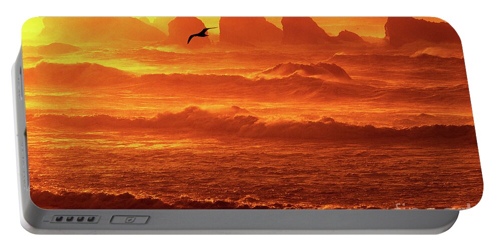 Oregon Portable Battery Charger featuring the photograph Seagull Soaring Over the Surf at Sunset Oregon coast by Dave Welling