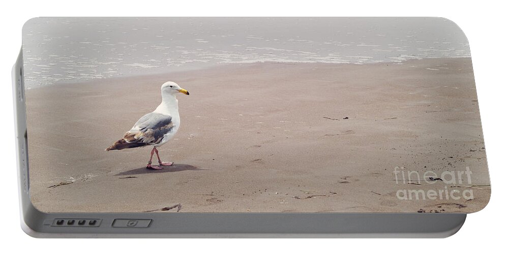 California Portable Battery Charger featuring the photograph Seagull strolling by Cindy Garber Iverson