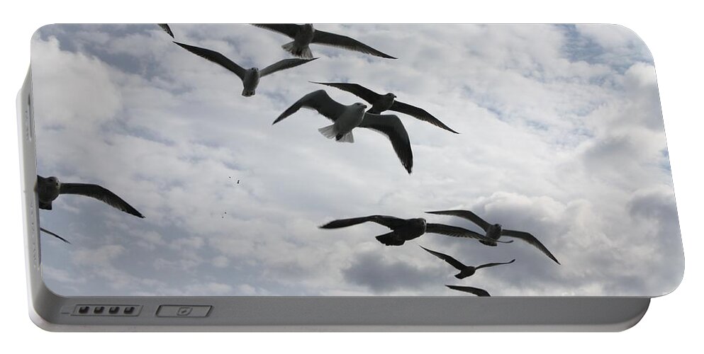 Seagulls Diving For A Bite Portable Battery Charger featuring the photograph Seagulls Diving For A Bite by John Telfer