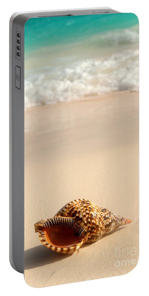 Seashell Portable Battery Charger featuring the photograph Seashell and ocean wave 4 by Elena Elisseeva
