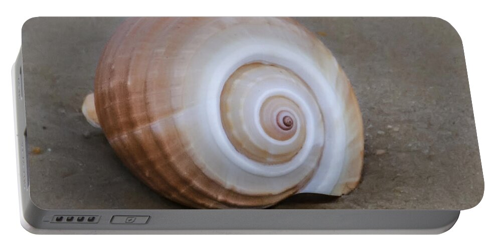 Seashell Portable Battery Charger featuring the photograph Seashell by Bill Cannon