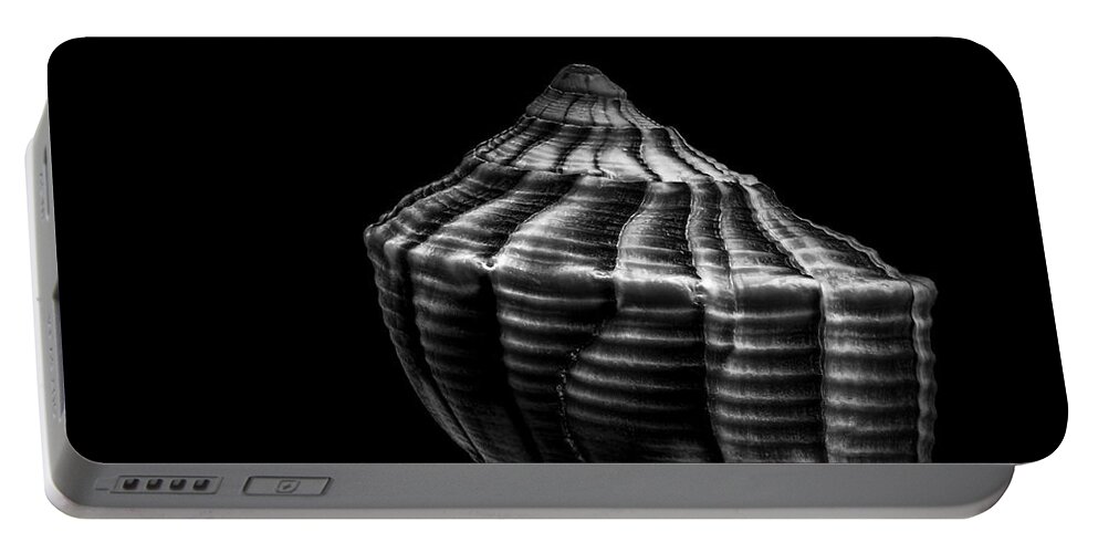 Shell Portable Battery Charger featuring the photograph Seashell on Black by Bob Orsillo