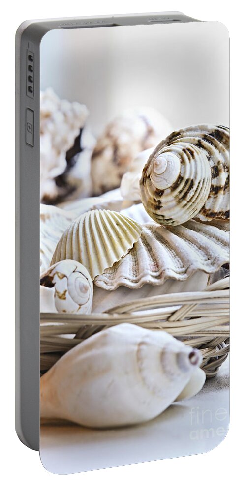 Seashell Portable Battery Charger featuring the photograph Seashells by Elena Elisseeva