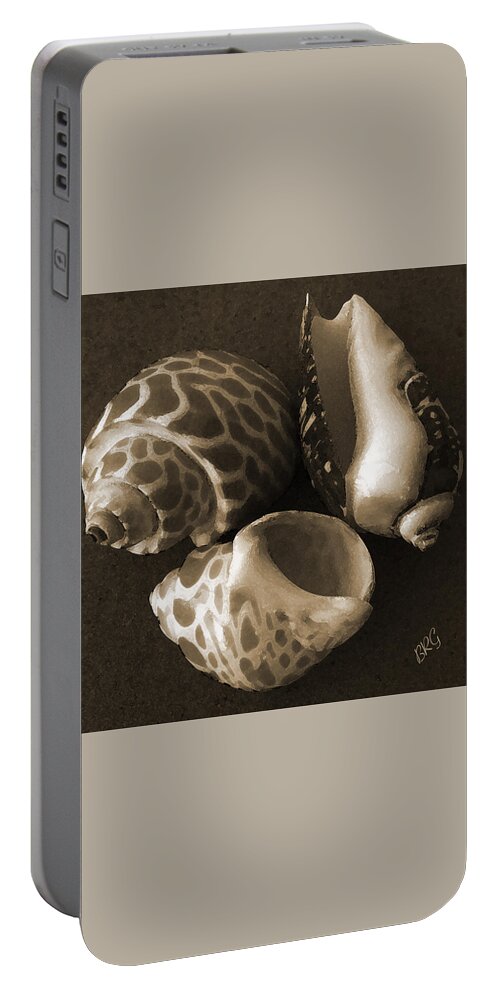 Seashell Portable Battery Charger featuring the photograph Seashells Spectacular No 1 by Ben and Raisa Gertsberg