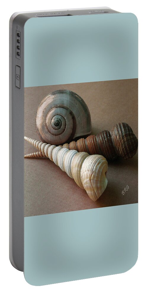 Seashell Portable Battery Charger featuring the photograph Seashells Spectacular No 29 by Ben and Raisa Gertsberg