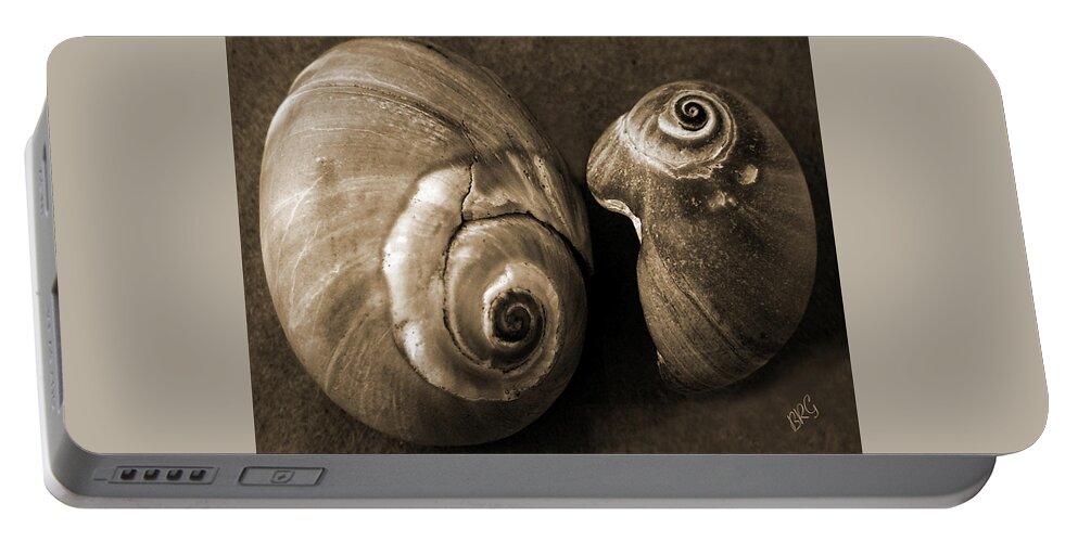 Seashell Portable Battery Charger featuring the photograph Seashells Spectacular No 6 by Ben and Raisa Gertsberg