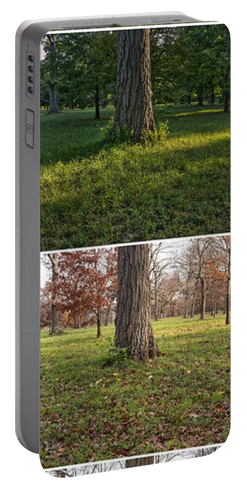 Spring Portable Battery Charger featuring the photograph Seasonal Passage Number 1 by Steve Gadomski
