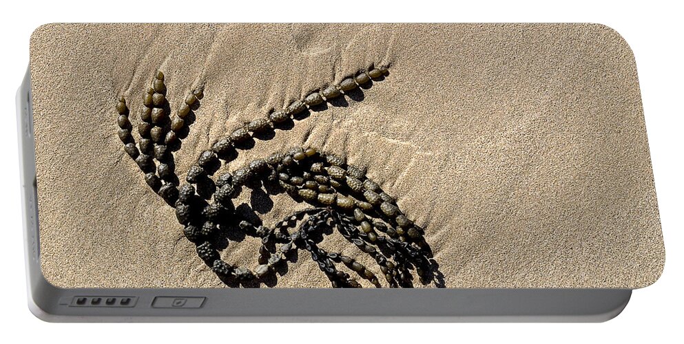 Seaweed Portable Battery Charger featuring the photograph Seaweed on beach by Steven Ralser