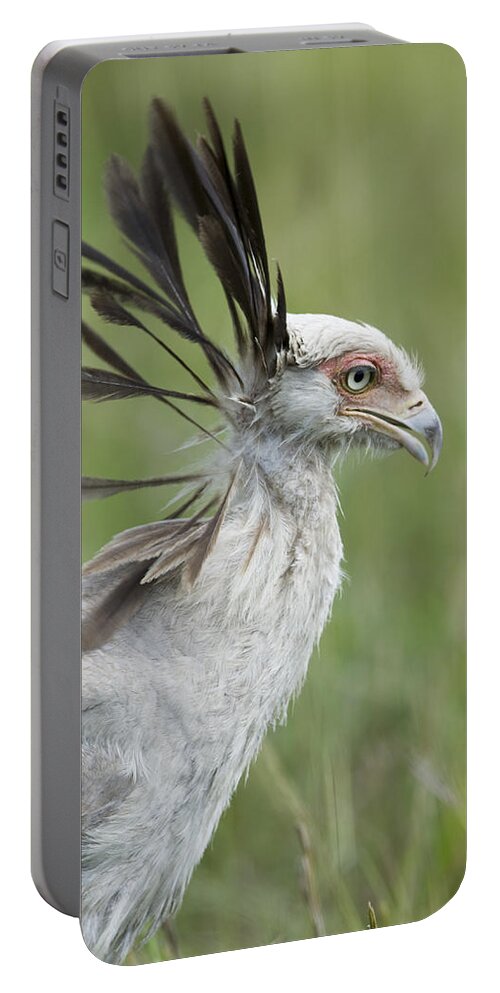 Flpa Portable Battery Charger featuring the photograph Secretary Bird Masai Mara Kenya by Elliott Neep