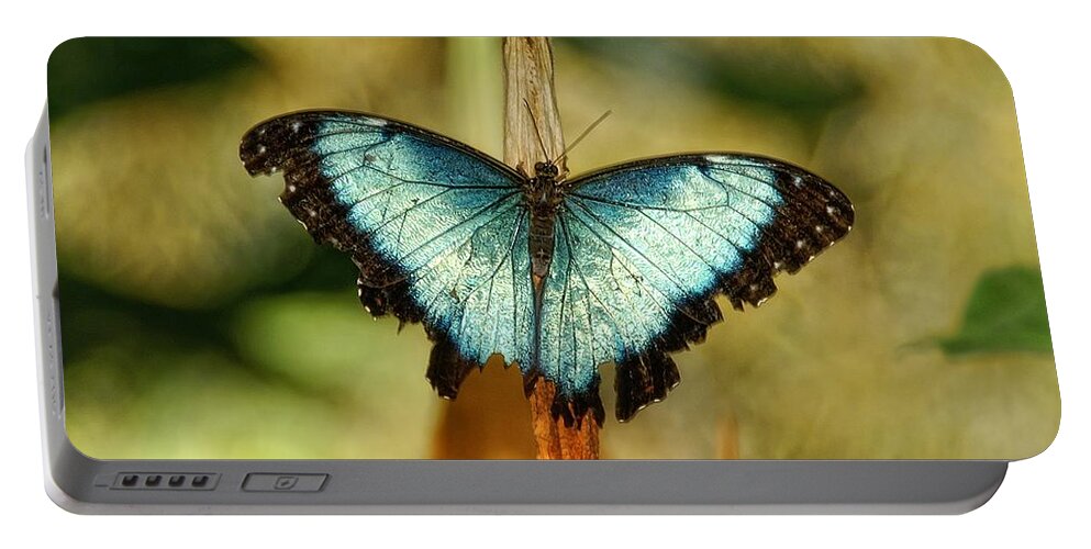 Butterfly Portable Battery Charger featuring the photograph Seen Better Days by Peggy Hughes