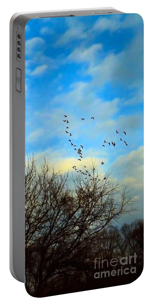 Sunrise Portable Battery Charger featuring the photograph Seize The Day by Robyn King