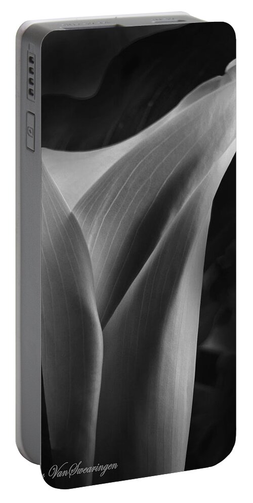 Calla Portable Battery Charger featuring the photograph Sensuous Calla by Lucy VanSwearingen