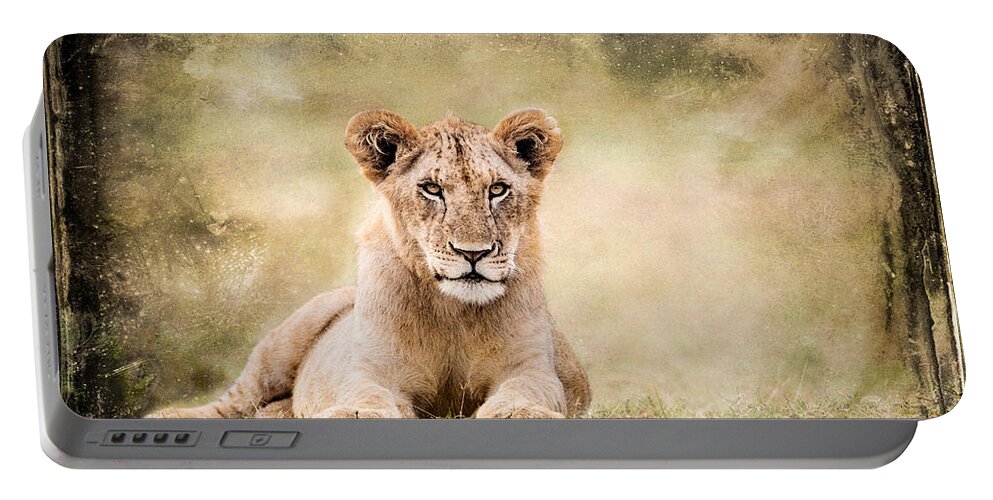 Africa Portable Battery Charger featuring the photograph Serene Lioness by Mike Gaudaur