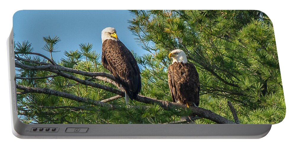 Landcape Portable Battery Charger featuring the photograph Serious Bald Eagles by Cheryl Baxter