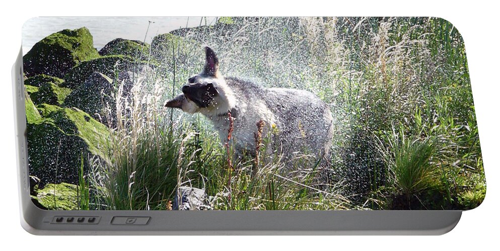 Dog Shakes Water Off Portable Battery Charger featuring the photograph Shaking It Off by Afroditi Katsikis