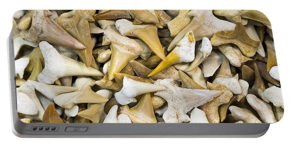 Gems Portable Battery Charger featuring the photograph Sharks Teeth by Steven Ralser