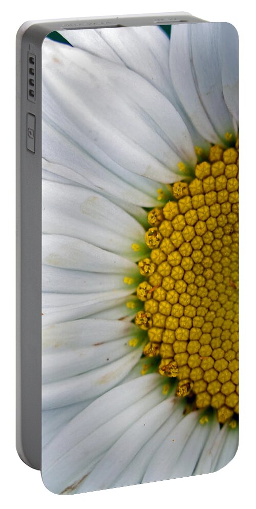 Flowers Portable Battery Charger featuring the photograph Shasta by Jennifer Robin