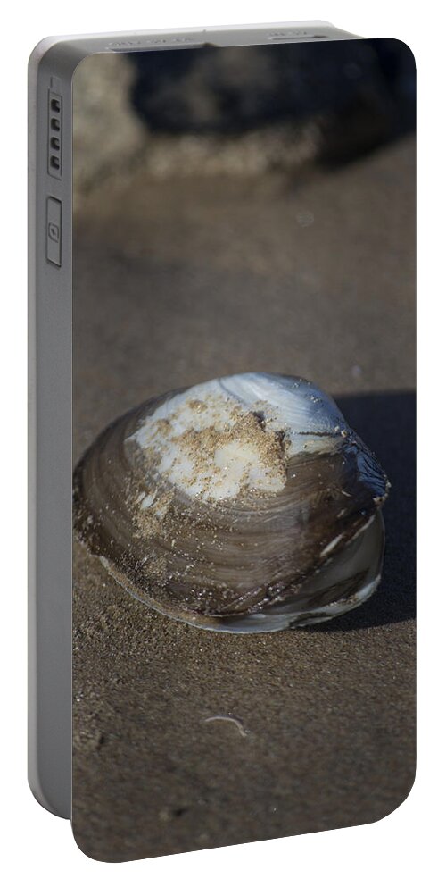 Sea Shell Portable Battery Charger featuring the photograph Shell or someone's dinner by Spikey Mouse Photography