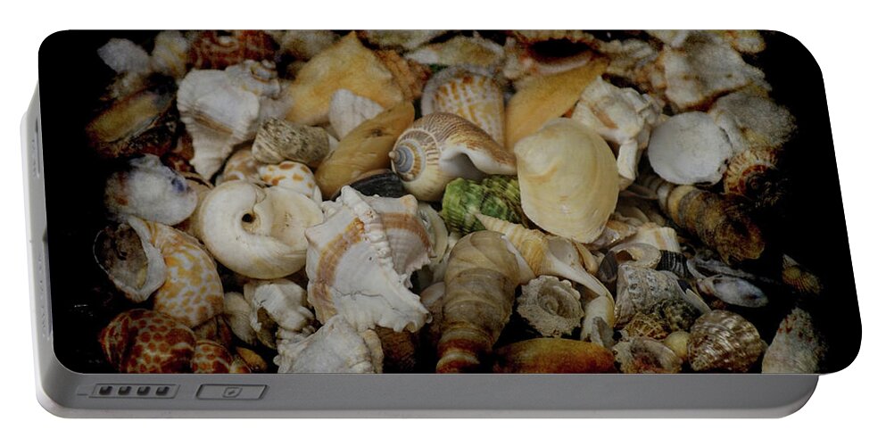 Shells Portable Battery Charger featuring the photograph Shells by Ernest Echols